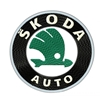 Skoda Servicing Reading